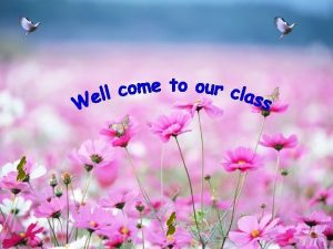 Good Afternoon Everybody WELl COME TO OUR CLASS