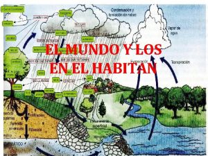 EL MUNDO Y LOS EN EL HABITAN La