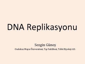 DNA Replikasyonu Sezgin Gne Ondokuz Mays niversitesi Tp