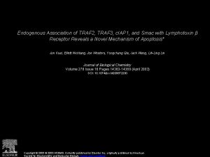 Endogenous Association of TRAF 2 TRAF 3 c
