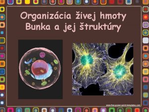 Organizcia ivej hmoty Bunka a jej truktry Bunka