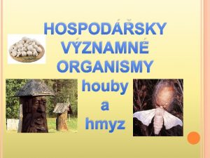 HOSPODSKY VZNAMN ORGANISMY houby a hmyz HOSPODSKY VZNAMN