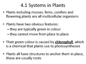 4 1 Systems in Plants Plants including mosses