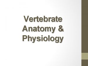 Vertebrate Anatomy Physiology Vertebrate Anatomy And Physiology Study