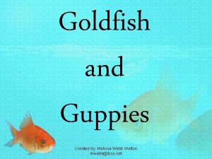 Goldfish and Guppies Created by Melissa Webb Walton