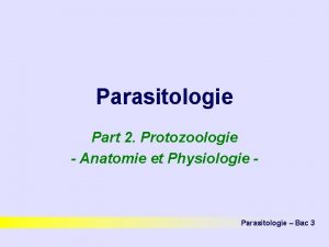 Parasitologie Part 2 Protozoologie Anatomie et Physiologie Parasitologie