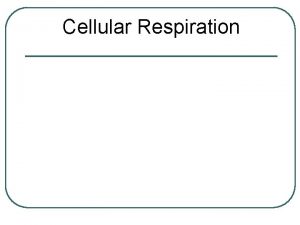 Cellular Respiration Cellular Respiration l l Conversion of