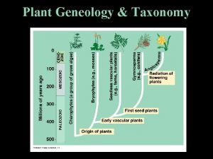 Plant Geneology Taxonomy I NONVASCULAR PLANTS No special