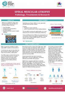 SPINAL MUSCULAR ATROPHY Pathology Treatments Research ABOUT US