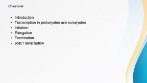 Overview Introduction Transcription in prokaryotes and eukaryotes Initiation