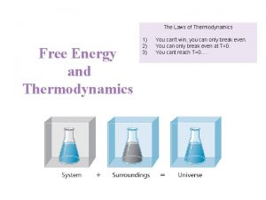 The Laws of Thermodynamics Free Energy and Thermodynamics