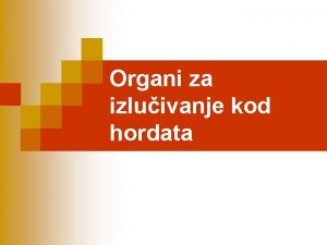 Organi za izluivanje kod hordata Osnovne funkcije organa