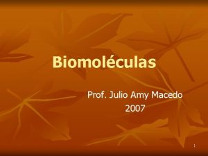 Biomolculas Prof Julio Amy Macedo 2007 1 Caractersticas