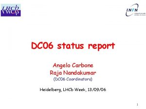 DC 06 status report Angelo Carbone Raja Nandakumar