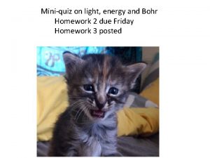 Miniquiz on light energy and Bohr Homework 2