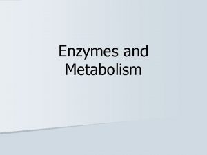 Enzymes and Metabolism Metabolism n The sum of