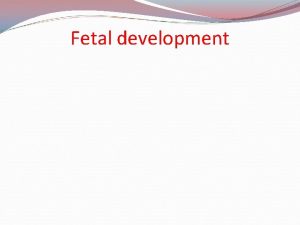 Fetal development From Conception to Birth Period of