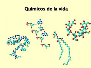 Qumicos de la vida Biomolculas La clula est