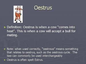 Oestrus Definition Oestrus is when a cow comes
