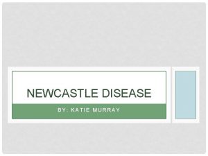 NEWCASTLE DISEASE BY KATIE MURRAY CAUSESORIGIN Newcastle disease