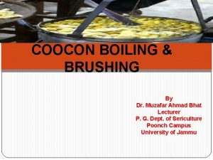 COOCON BOILING BRUSHING By Dr Muzafar Ahmad Bhat