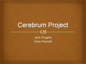 Cerebrum Project Jack Doughty Drew Fawcett Primary Motor