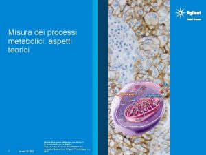 Misura dei processi metabolici aspetti teorici 1 January