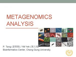 METAGENOMICS ANALYSIS P Tang YM Yeh Bioinformatics Center
