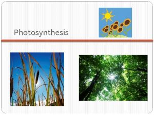 Photosynthesis Photosynthesis 1 Definition CONVERTING SUNS ENERGY INTO