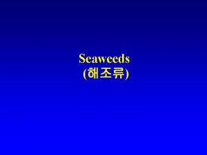 Seaweeds Introduction to the seaweeds Seaweeds marine macroalgae