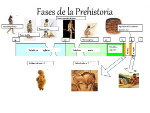 Fases de la Prehistoria Homo neanderthalensis Australopithecus Aparicin