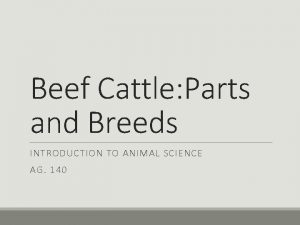 Beef Cattle Parts and Breeds INTRODUCTION TO ANIMAL