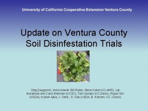 Update on Ventura County Soil Disinfestation Trials Oleg