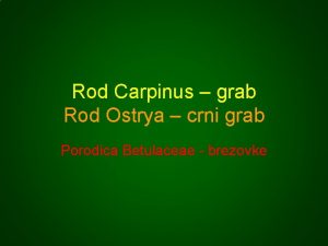 Rod Carpinus grab Rod Ostrya crni grab Porodica
