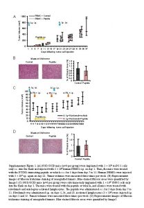 A PBMC Control PBMC Ptptide Tumor Volume mm