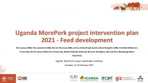 Uganda More Pork project intervention plan 2021 Feed