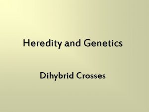 Heredity and Genetics Dihybrid Crosses Review of Monohybrid