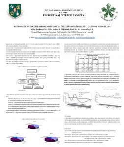 NYUGATMAGYARORSZGI EGYETEM EK EMKI ENERGETIKAI INTZETI TANSZK BIOMASSZK