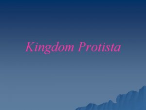 Kingdom Protista Kingdom Protista Protozoa The AnimalLike Protists