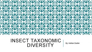 INSECT TAXONOMIC DIVERSITY By Ashton Durbin INSECT ORDERS