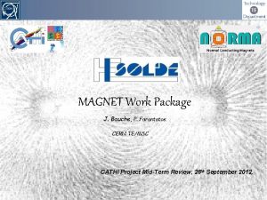 MAGNET Work Package J Bauche P Farantatos CERN