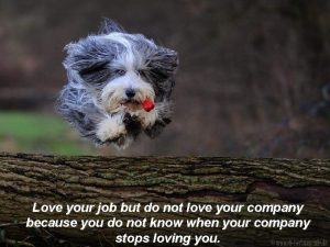 Love your job but do not love your