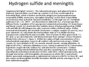 Hydrogen sulfide and meningitis Supplemental Digital Content 2