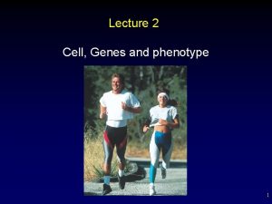 Lecture 2 Cell Genes and phenotype 1 Cell