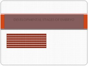 DEVELOPMENTAL STAGES OF EMBRYO Stages Fertilization Cleavage formation