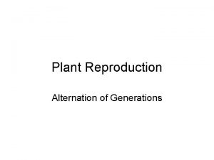 Plant Reproduction Alternation of Generations Alternation of Generations