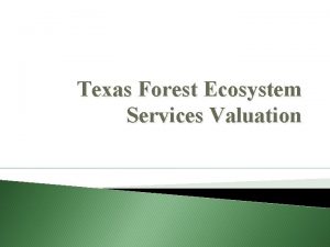Texas Forest Ecosystem Services Valuation Forest Ecosystem Services