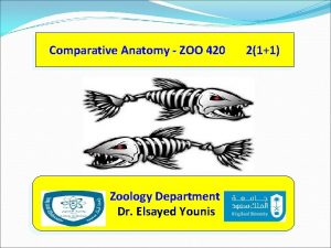 Comparative Anatomy ZOO 420 Zoology Department Dr Elsayed