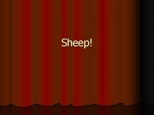 Sheep Facts about Sheep l Female is called