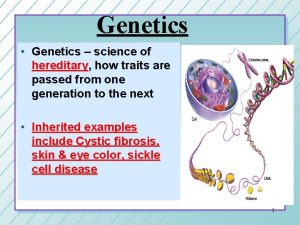 Genetics Genetics science of hereditary how traits are